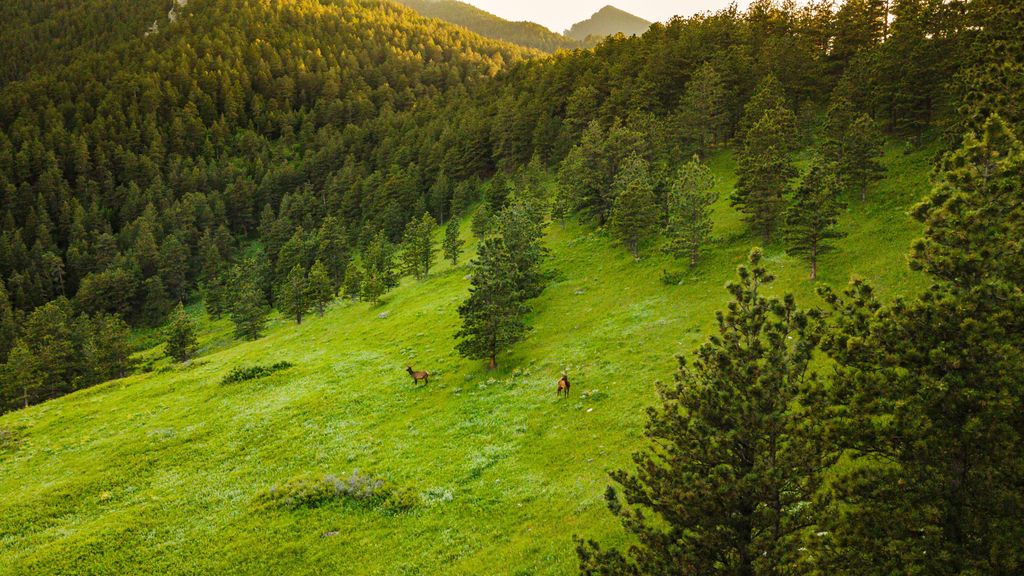 180 Styx Road, Big Horn, WY 82833 photo 11