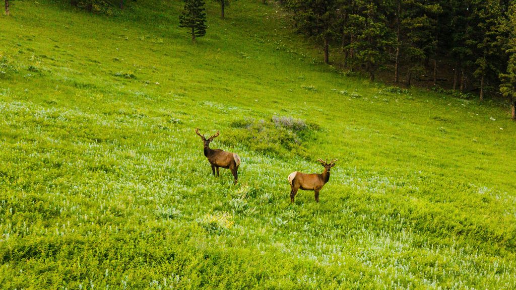 180 Styx Road, Big Horn, WY 82833 photo 12