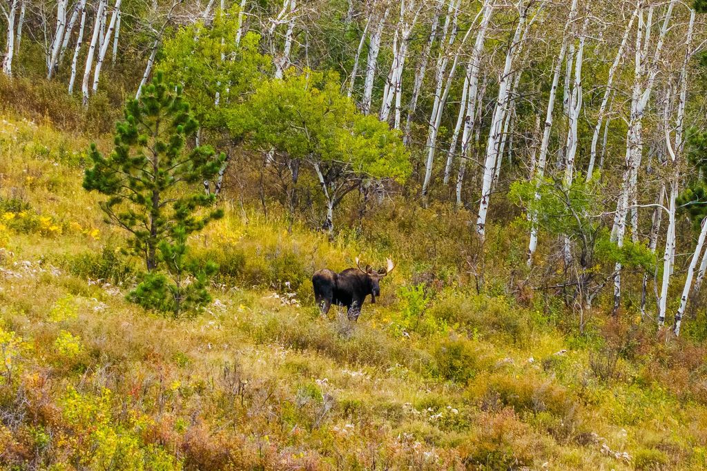 180 Styx Road, Big Horn, WY 82833 photo 13