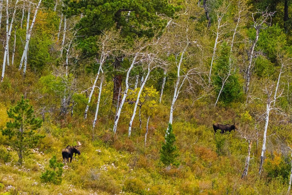 180 Styx Road, Big Horn, WY 82833 photo 14