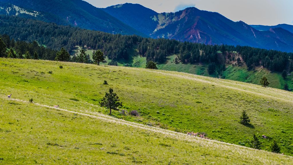 180 Styx Road, Big Horn, WY 82833 photo 16