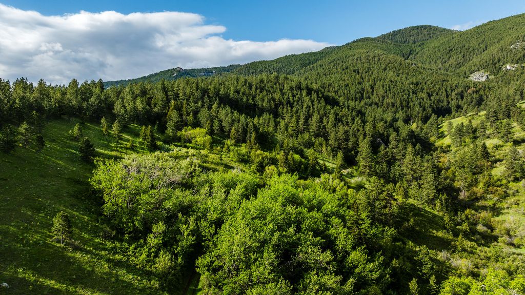 180 Styx Road, Big Horn, WY 82833 photo 17