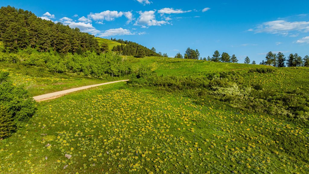 180 Styx Road, Big Horn, WY 82833 photo 18