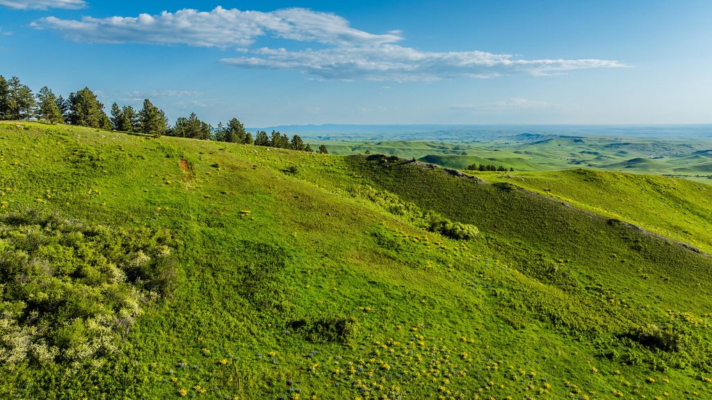 180 Styx Road, Big Horn, WY 82833 photo 19