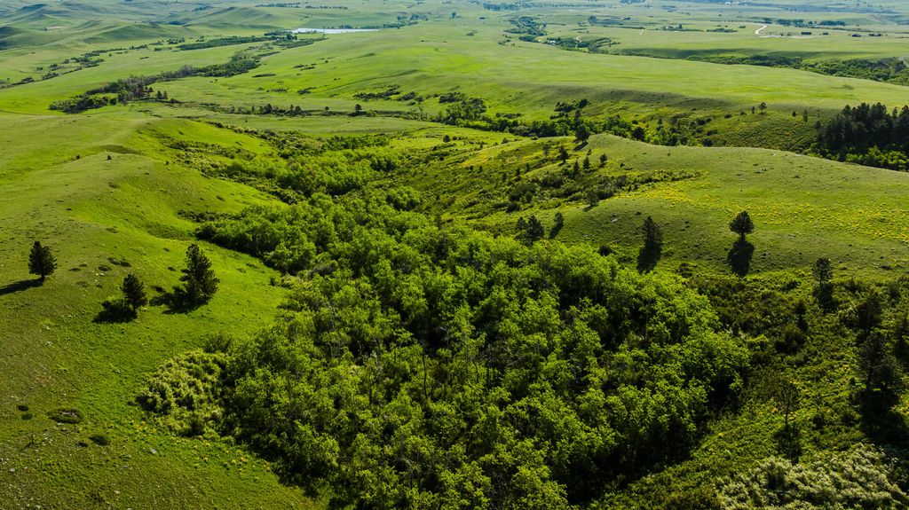 180 Styx Road, Big Horn, WY 82833 photo 21