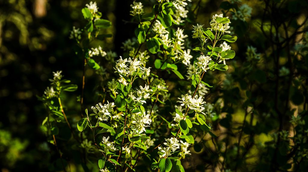 180 Styx Road, Big Horn, WY 82833 photo 32