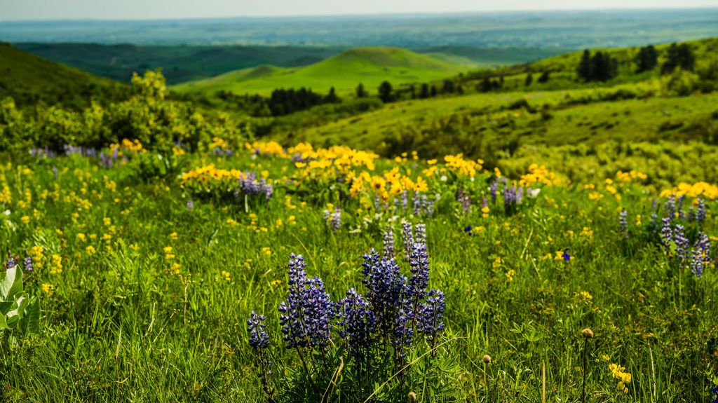 180 Styx Road, Big Horn, WY 82833 photo 33