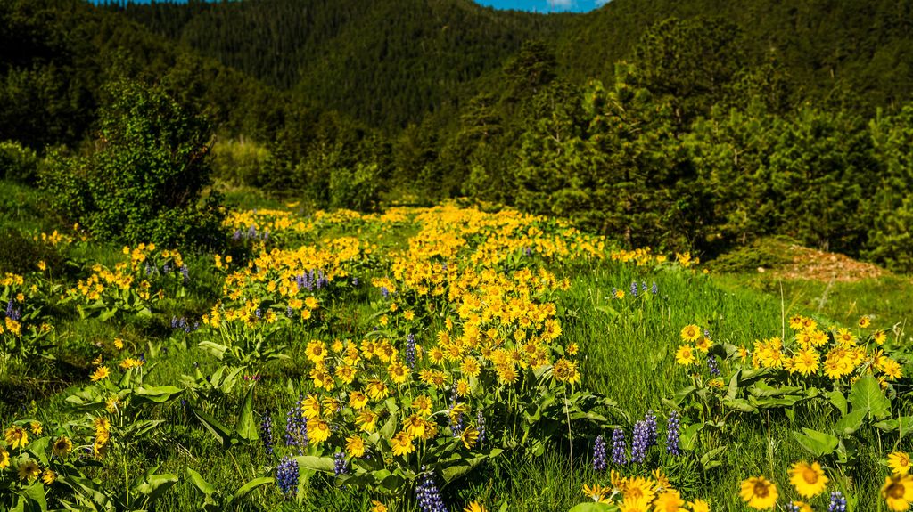 180 Styx Road, Big Horn, WY 82833 photo 34