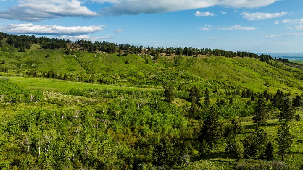 180 Styx Road, Big Horn, WY 82833 photo 39