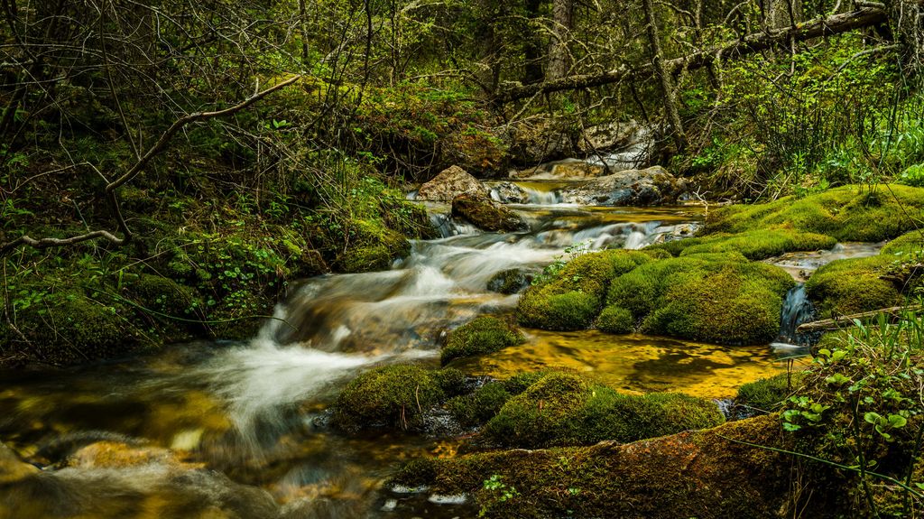 180 Styx Road, Big Horn, WY 82833 photo 43