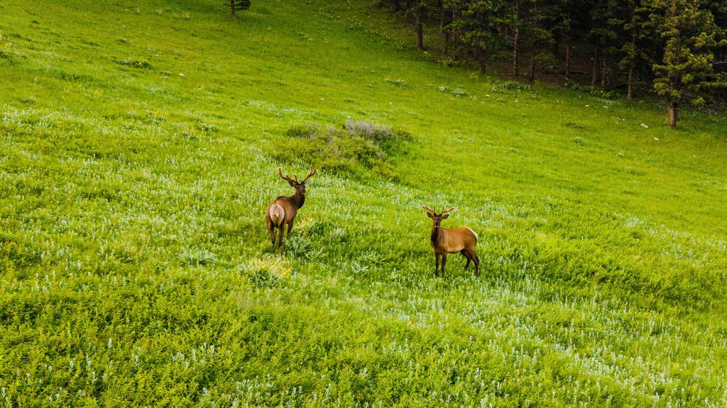 180 Styx Road, Big Horn, WY 82833 photo 46