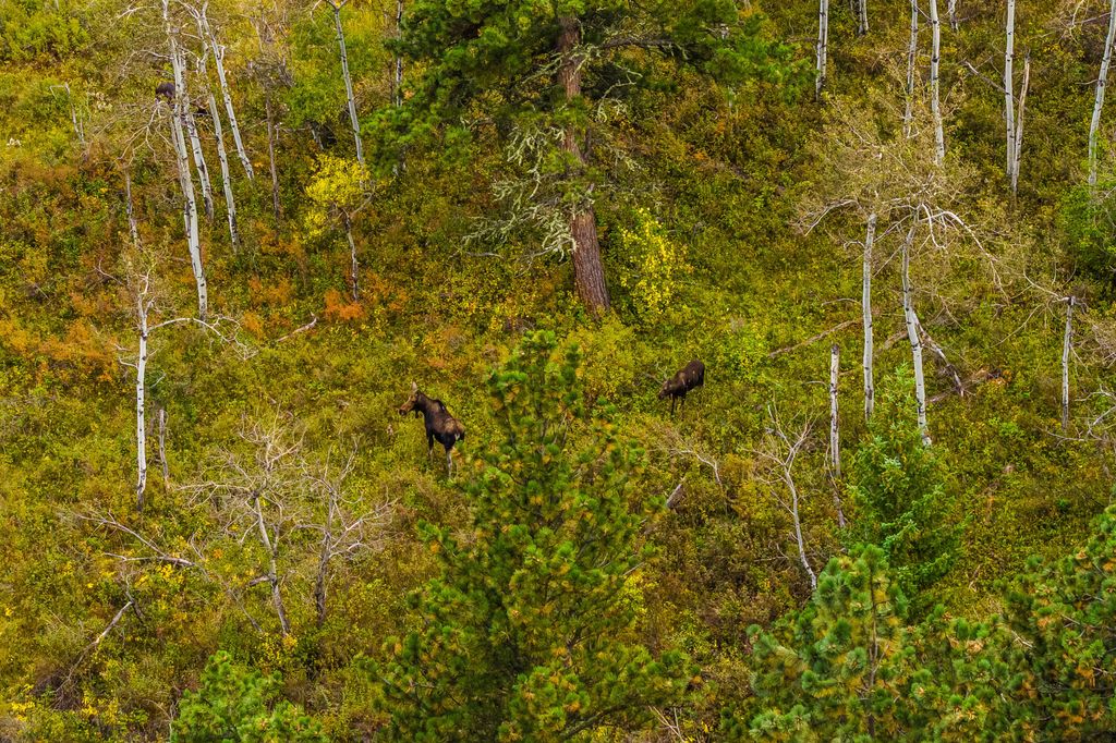 180 Styx Road, Big Horn, WY 82833 photo 47