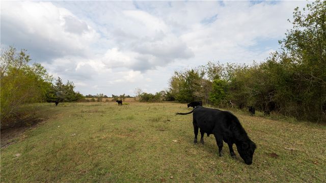 4645 FM 2679 Farm to Market Road, Burton, TX 77835