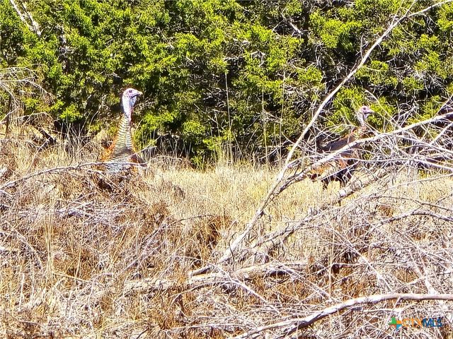 740 CR 206, Lampasas, TX 76550