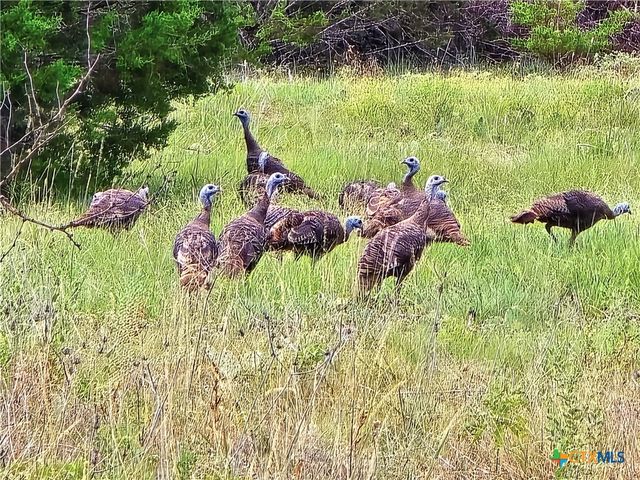 740 CR 206, Lampasas, TX 76550