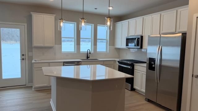 14955 Avondale View, Rosemount, MN 55068