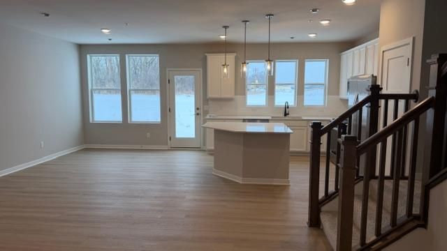 14955 Avondale View, Rosemount, MN 55068