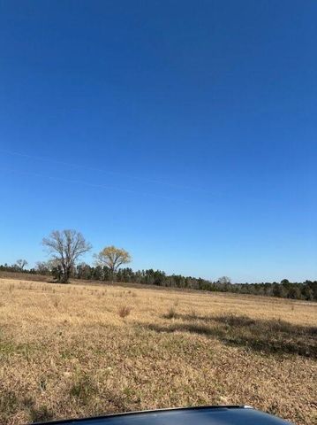 0 County Road 2235, Grapeland, TX 75844