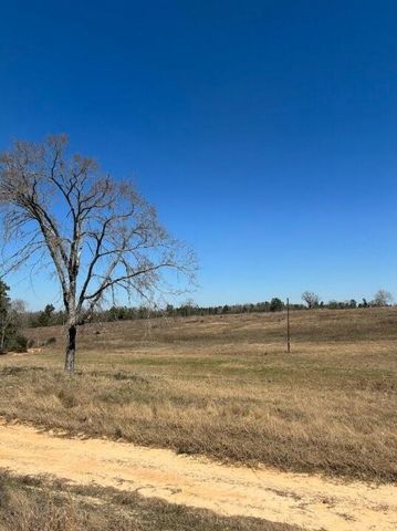 0 County Road 2235, Grapeland, TX 75844