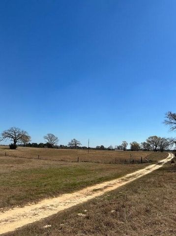 0 County Road 2235, Grapeland, TX 75844