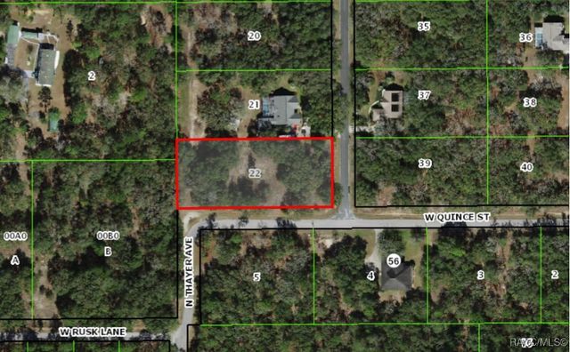 54 N Indianapolis Avenue, Hernando, FL 34442