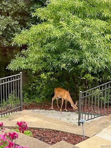 295 Romaine Spring View, Fenton, MO 63026