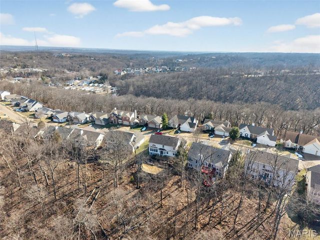 295 Romaine Spring View, Fenton, MO 63026