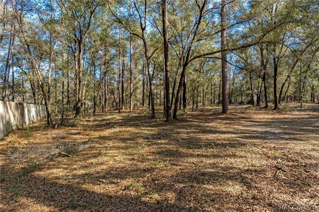 4011 S Tom Avenue, Inverness, FL 34452