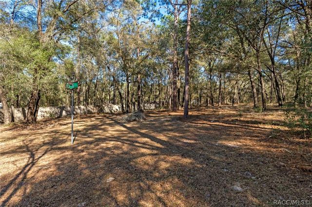 4011 S Tom Avenue, Inverness, FL 34452