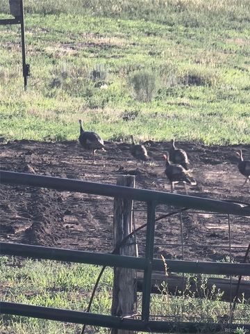 26101 Hwy 141, Whitewater, CO 81527
