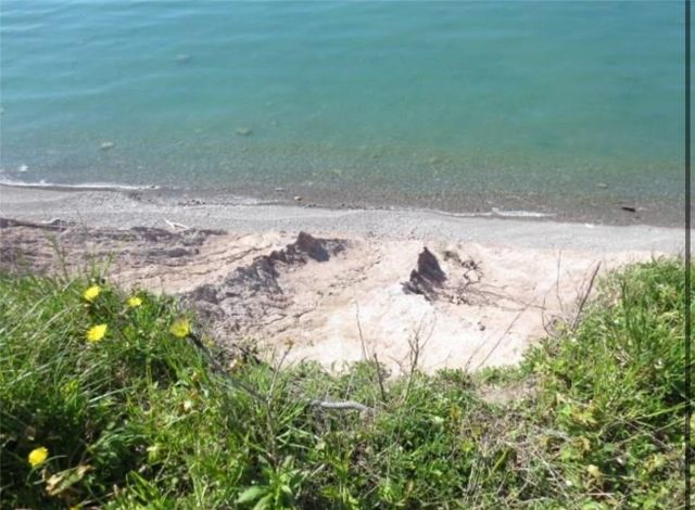 12805 Scott Bluff Drive, Wolcott, NY 14590