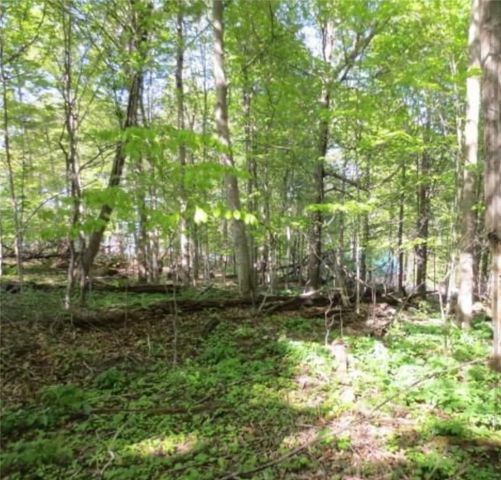 12805 Scott Bluff Drive, Wolcott, NY 14590