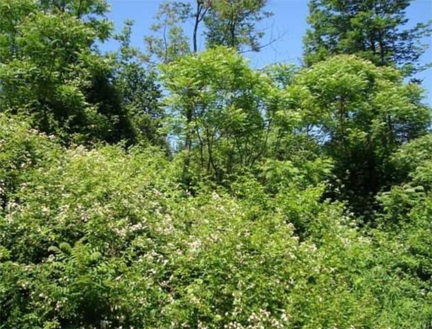 12805 Scott Bluff Drive, Wolcott, NY 14590