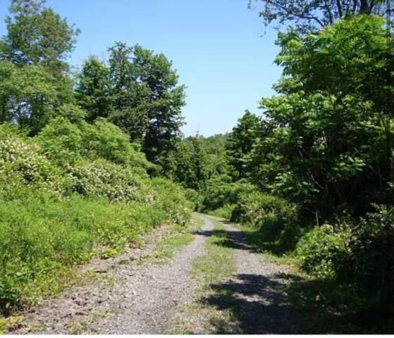 12805 Scott Bluff Drive, Wolcott, NY 14590