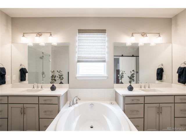 295 Lovejoy Cir, Castle Rock, CO 80104