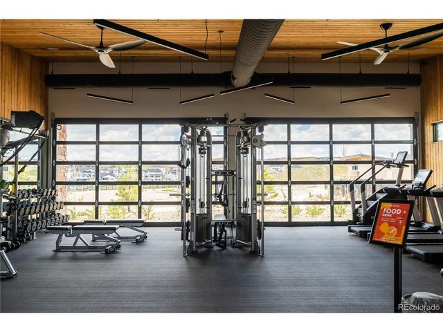 295 Lovejoy Cir, Castle Rock, CO 80104