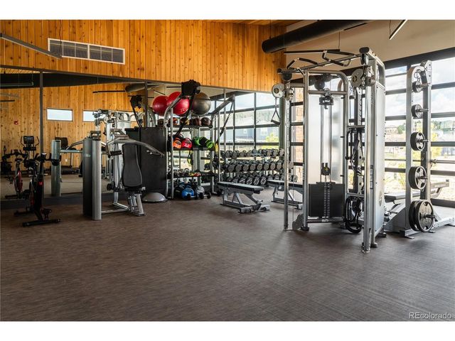 295 Lovejoy Cir, Castle Rock, CO 80104