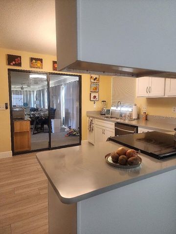 723 ELKHORN ROAD, Sun City Center, FL 33573