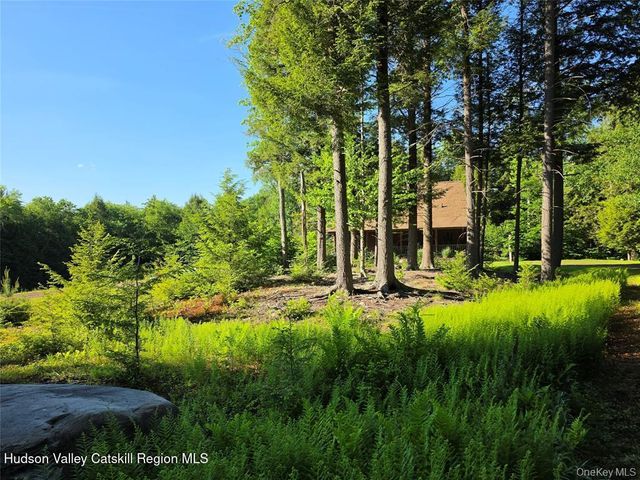 108 Eagles Ridge Way, Parksville, NY 12768
