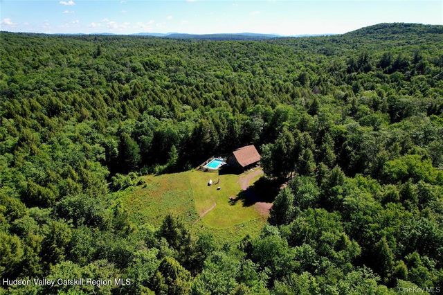 108 Eagles Ridge Way, Parksville, NY 12768