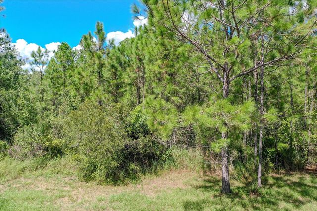 747 MIRANDA TRAIL, Lakeland, FL 33809