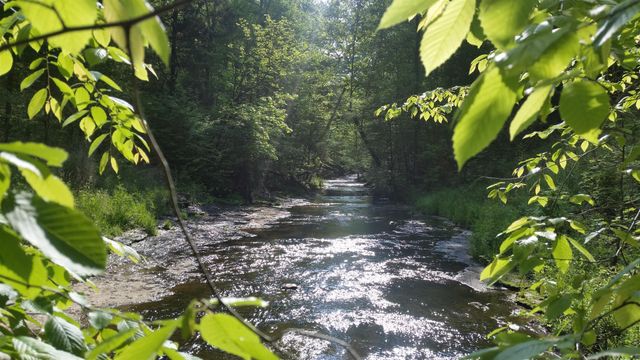 7454 Sugar Camp Hollow Rd, Fairview, TN 37062