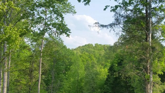 7454 Sugar Camp Hollow Rd, Fairview, TN 37062