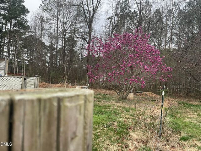 4045 Joe Hamme Road, Oxford, NC 27565