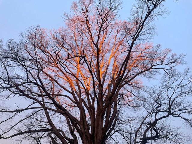 4045 Joe Hamme Road, Oxford, NC 27565