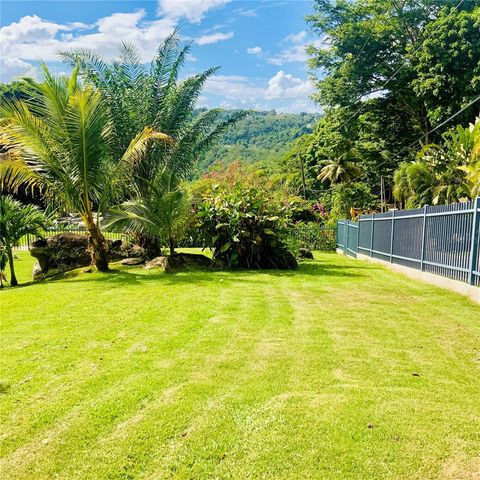 A 31-A. SUNSET HILLS, Guaynabo, PR 00971