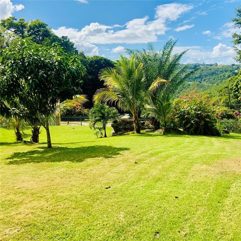 A 31-A. SUNSET HILLS, Guaynabo, PR 00971