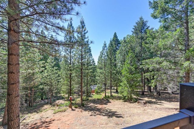 9600 Grizzly Flat Rd, Grizzly Flats, CA 95636
