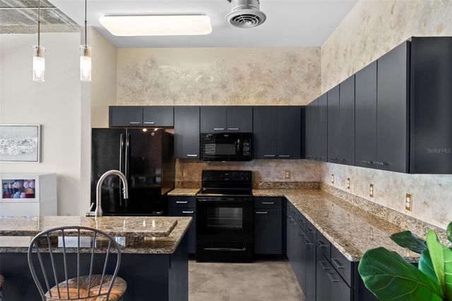 175 2ND STREET S 1007, St Petersburg, FL 33701