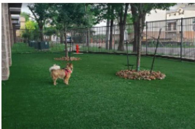 5454 Washington Avenue 3215, Houston, TX 77007